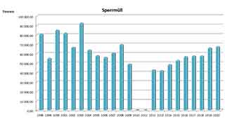 Aufkommen an Sperrmll-Abfall in Wien seit 1998